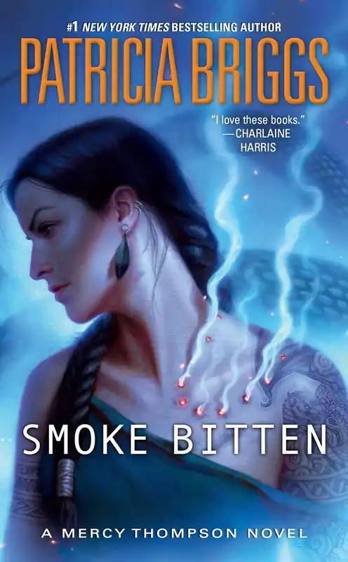 Bästa pris | Smoke Bitten