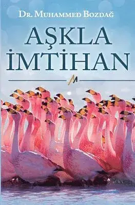 Askla Imtihan | Efterfrågad