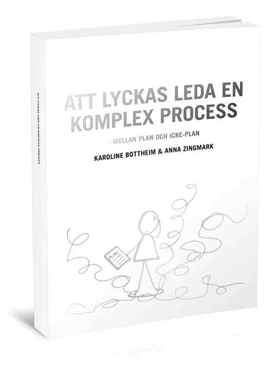 Att lyckas leda en komplex process | Outlet