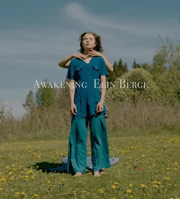 Awakening | Lågt pris