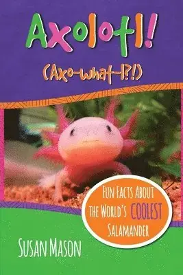 Nedsatt pris - Axolotl!