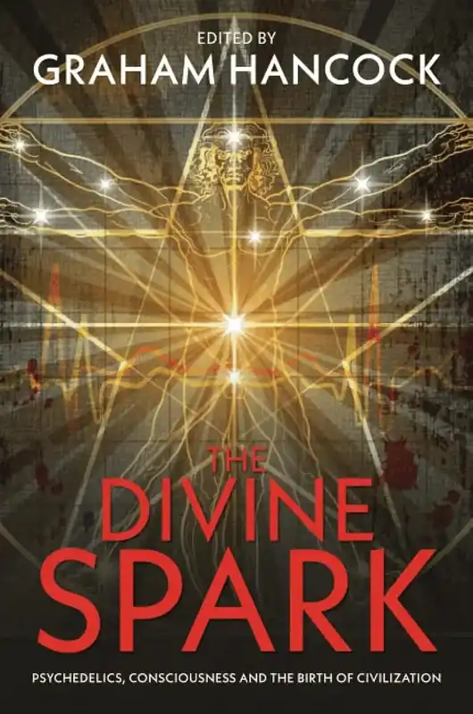 Nedsatt pris - Divine Spark