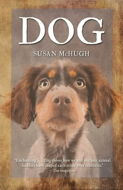Handla säkert | Dog