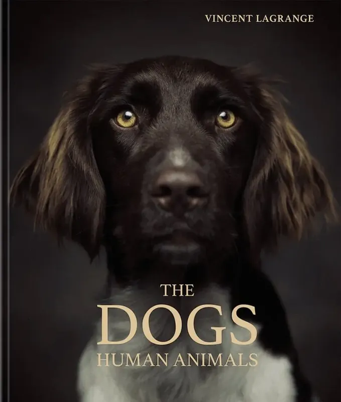 Endast idag - Dogs