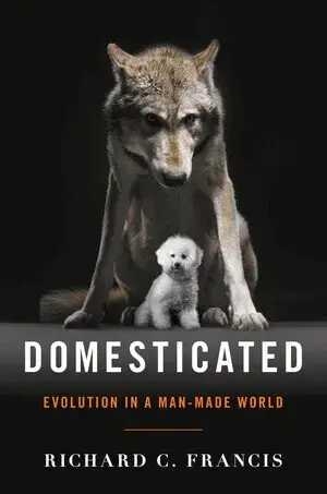 Domesticated | Sänkt pris