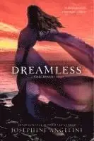 Kanonerbjudande | Dreamless