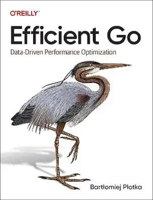 Rekommenderas | Efficient Go