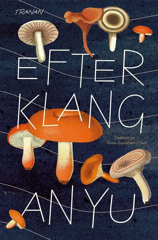 Efterklang - Kampanjpris