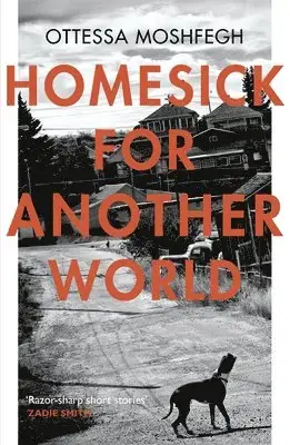 Outlet | Homesick For Another World