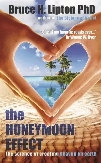 Finns nu - Honeymoon Effect