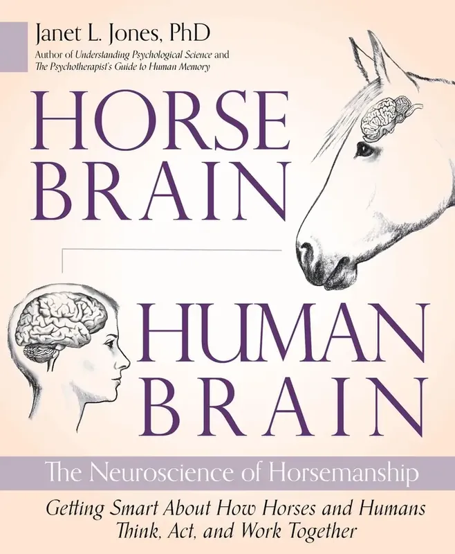 Topprodukt | Horse Brain, Human Brain
