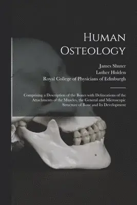 Fynd | Human Osteology