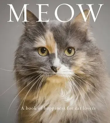 Nyligen tillagt | Meow