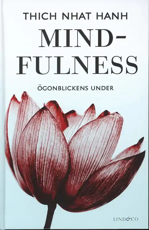 Fynd | Mindfulness ögonblickens under