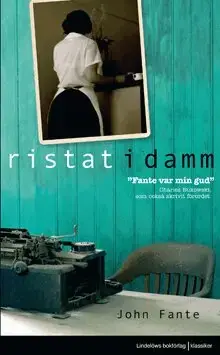 Fynd - Ristat i damm