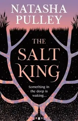 Rabatt | Salt King